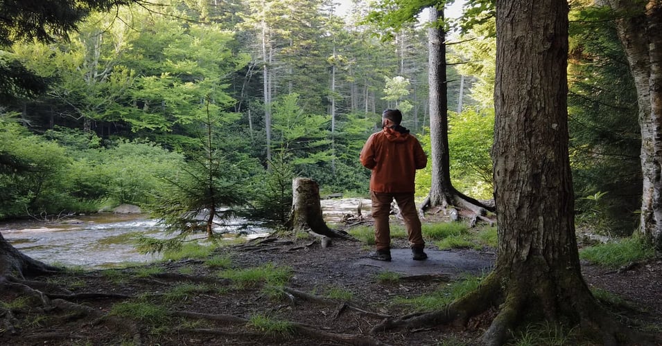 Exploring the Wilderness