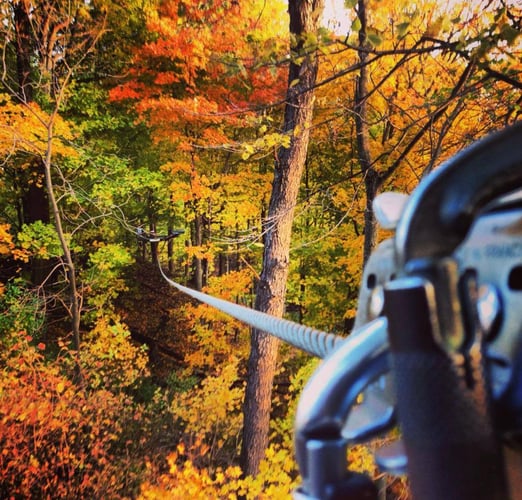 Zip-Line in Autum