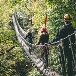 longpointecoadvzipline-2